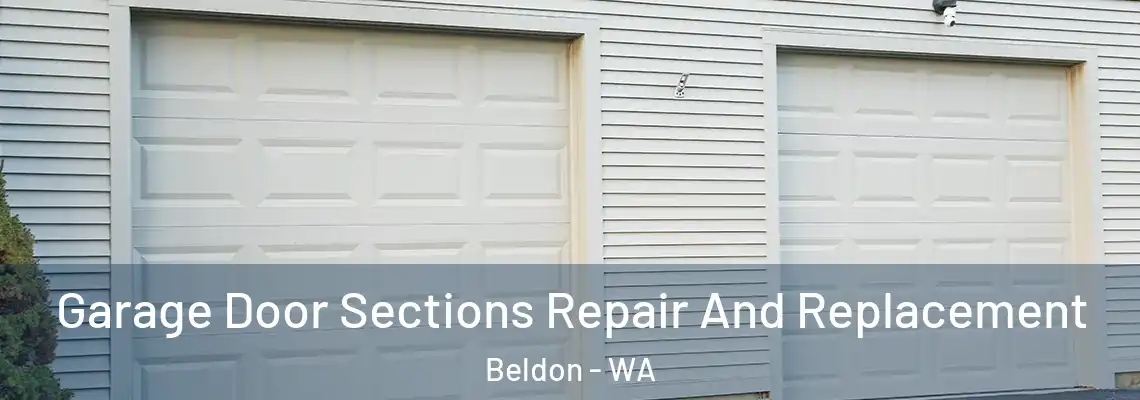  Garage Door Sections Repair And Replacement Beldon - WA