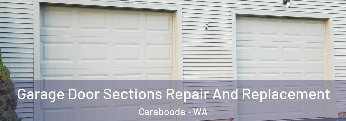 Garage Door Sections Repair And Replacement Carabooda - WA