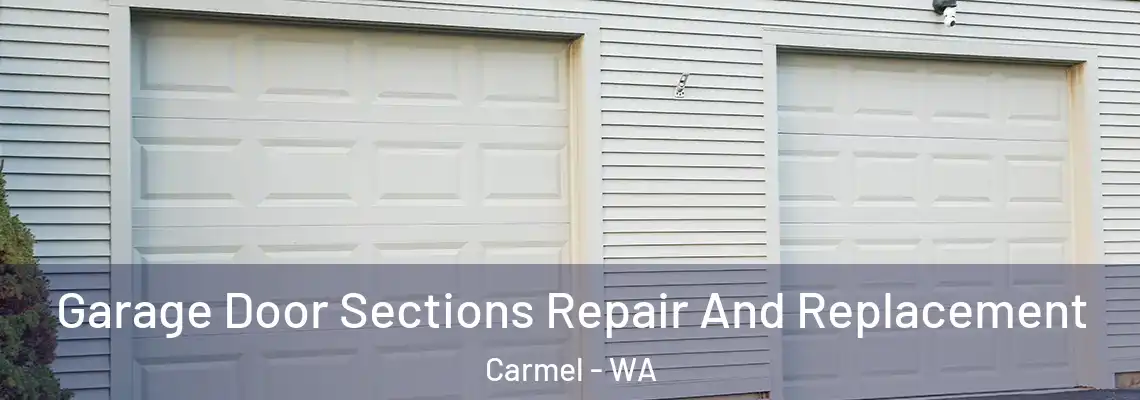  Garage Door Sections Repair And Replacement Carmel - WA