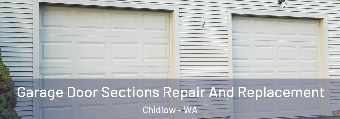  Garage Door Sections Repair And Replacement Chidlow - WA