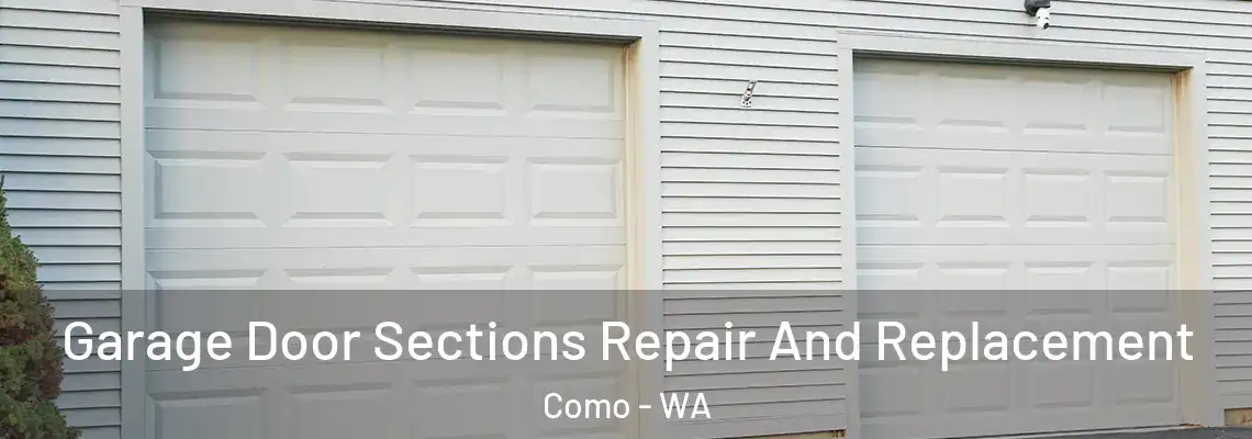  Garage Door Sections Repair And Replacement Como - WA