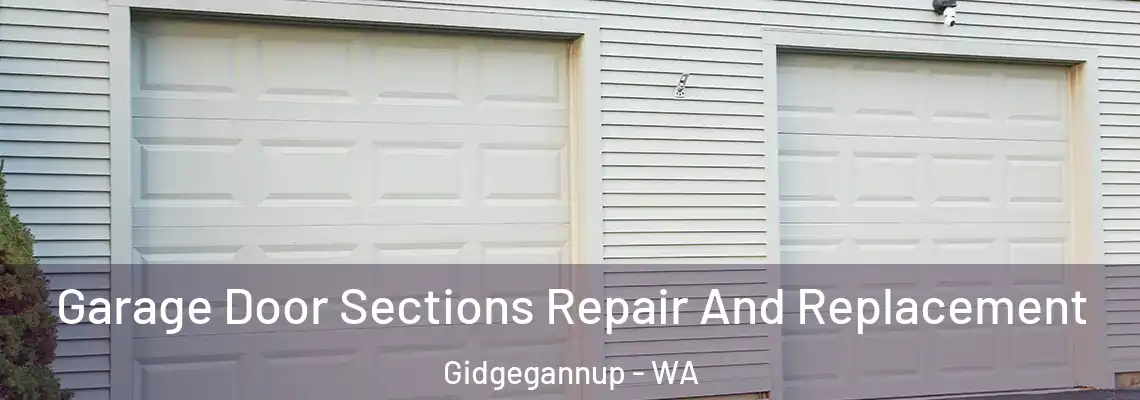  Garage Door Sections Repair And Replacement Gidgegannup - WA