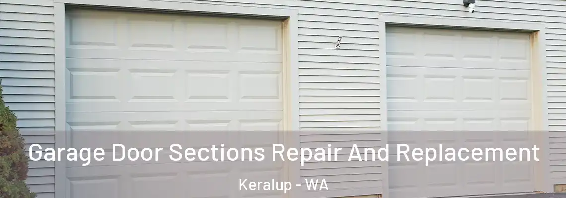  Garage Door Sections Repair And Replacement Keralup - WA