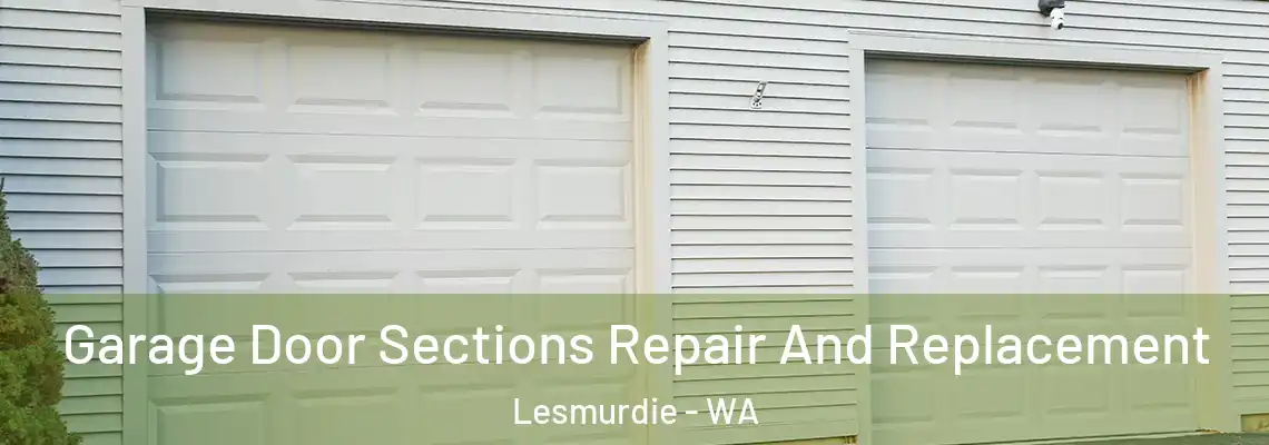  Garage Door Sections Repair And Replacement Lesmurdie - WA