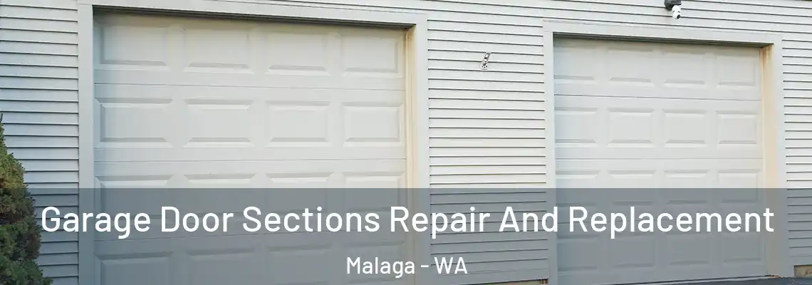  Garage Door Sections Repair And Replacement Malaga - WA