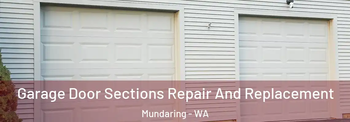  Garage Door Sections Repair And Replacement Mundaring - WA