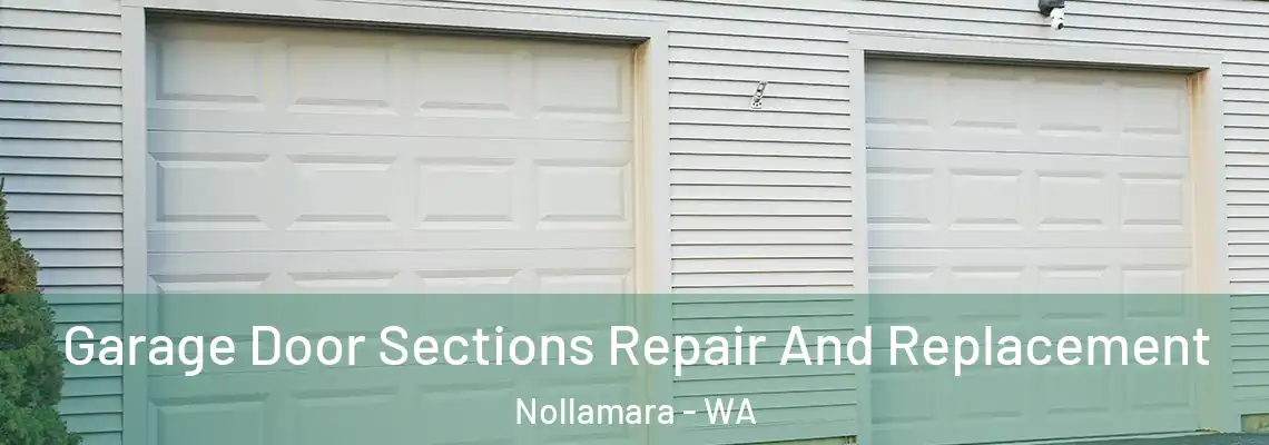  Garage Door Sections Repair And Replacement Nollamara - WA