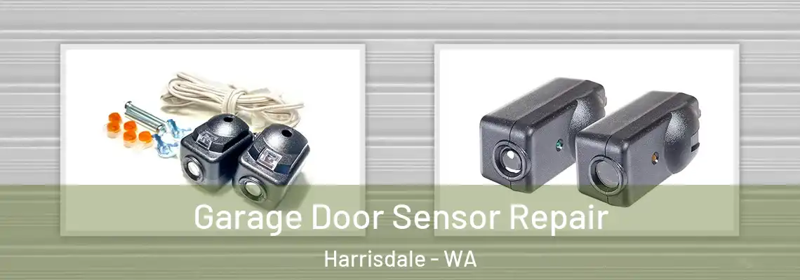 Garage Door Sensor Repair Harrisdale - WA