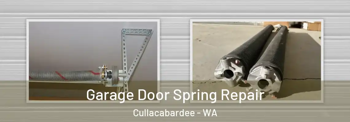 Garage Door Spring Repair Cullacabardee - WA