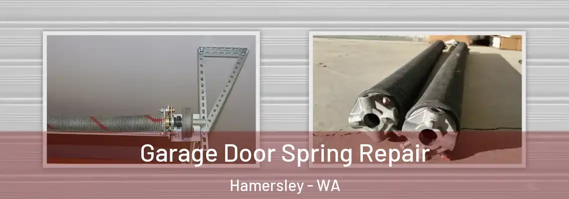  Garage Door Spring Repair Hamersley - WA