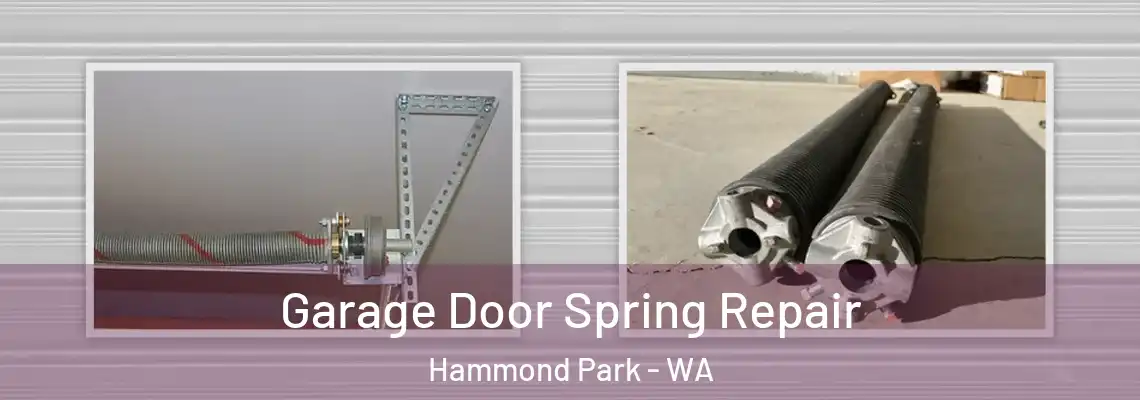  Garage Door Spring Repair Hammond Park - WA