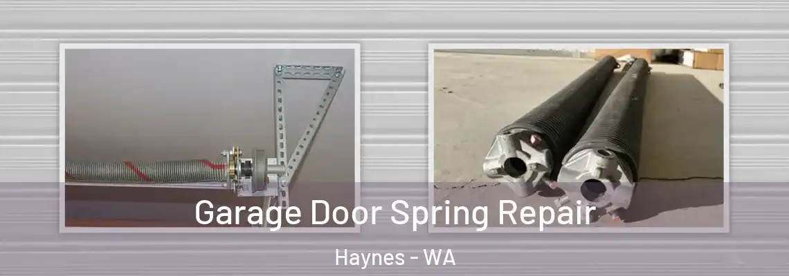  Garage Door Spring Repair Haynes - WA