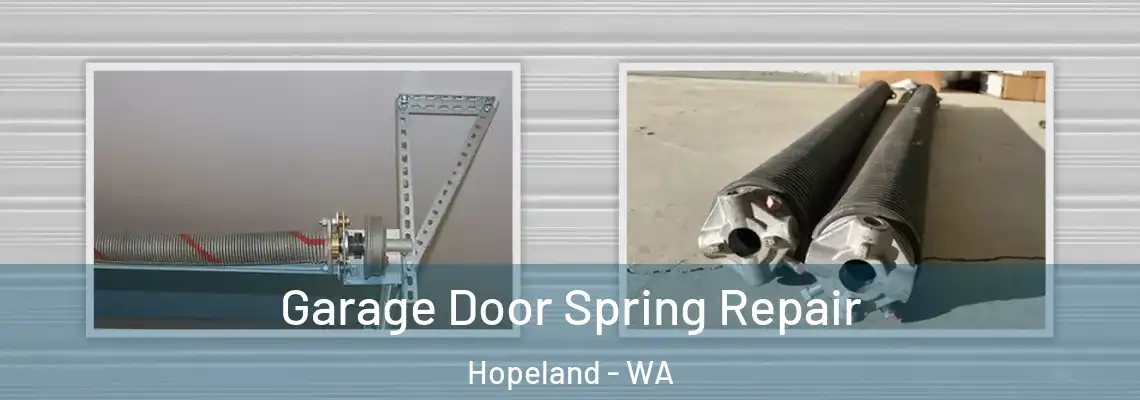  Garage Door Spring Repair Hopeland - WA