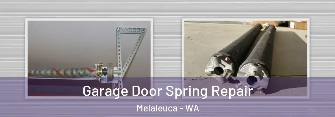  Garage Door Spring Repair Melaleuca - WA
