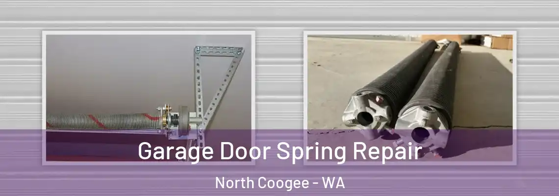 Garage Door Spring Repair North Coogee - WA