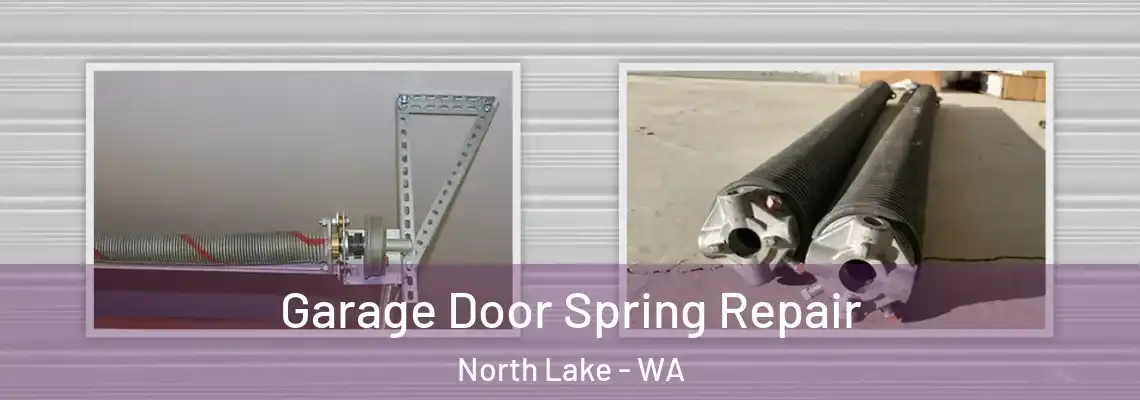 Garage Door Spring Repair North Lake - WA