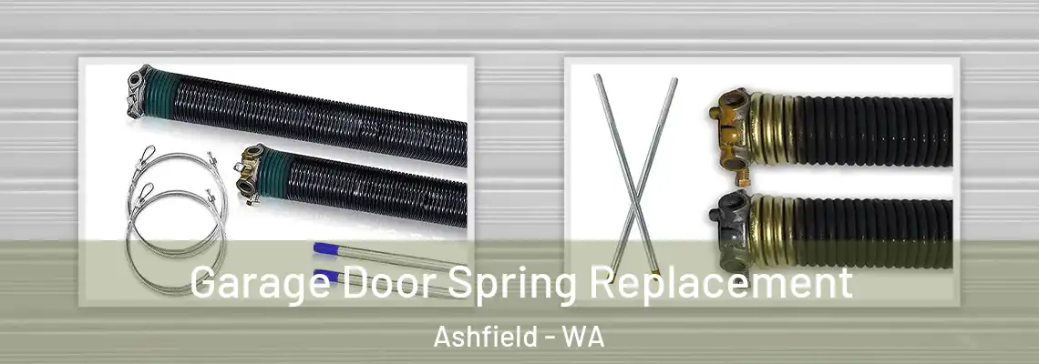  Garage Door Spring Replacement Ashfield - WA