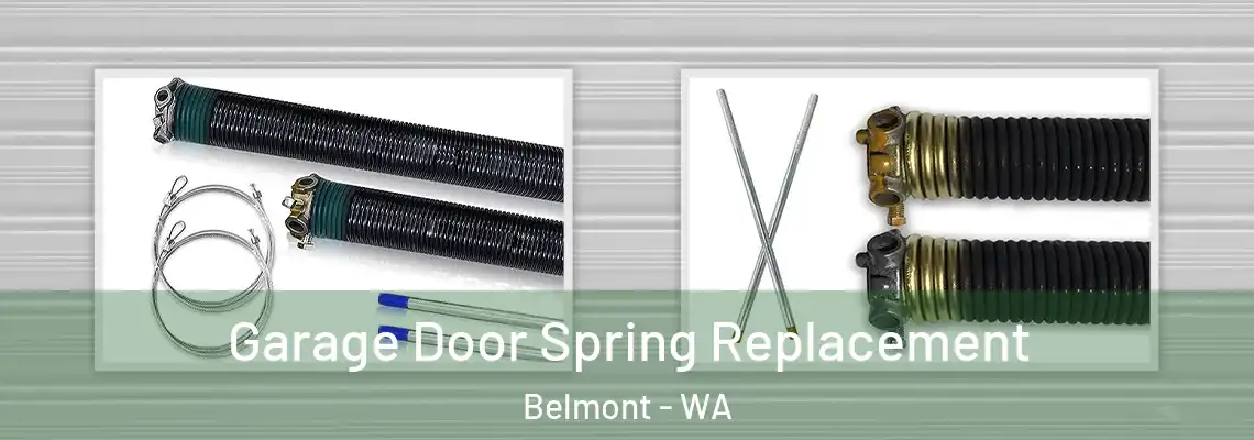 Garage Door Spring Replacement Belmont - WA