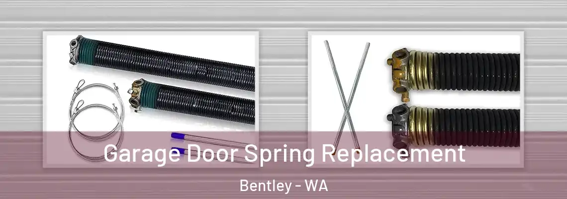  Garage Door Spring Replacement Bentley - WA