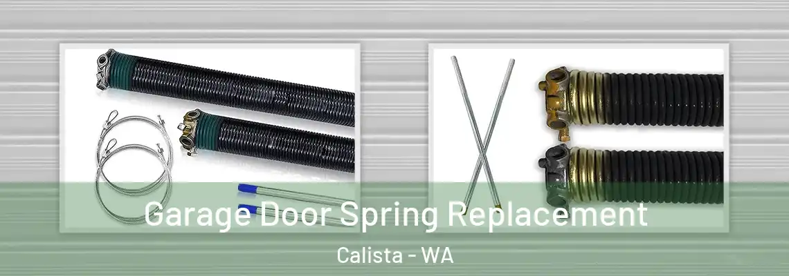  Garage Door Spring Replacement Calista - WA