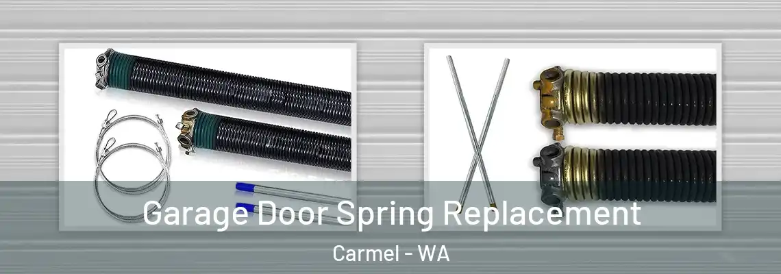  Garage Door Spring Replacement Carmel - WA