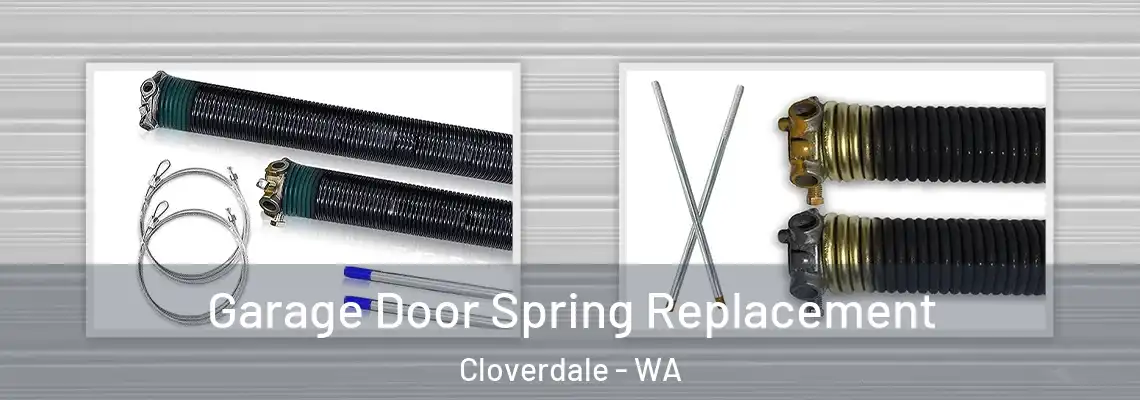  Garage Door Spring Replacement Cloverdale - WA
