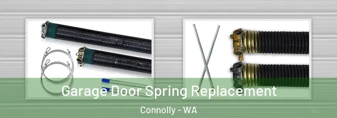  Garage Door Spring Replacement Connolly - WA