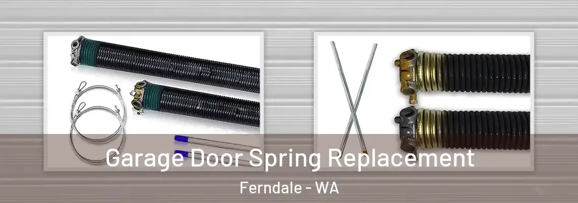  Garage Door Spring Replacement Ferndale - WA