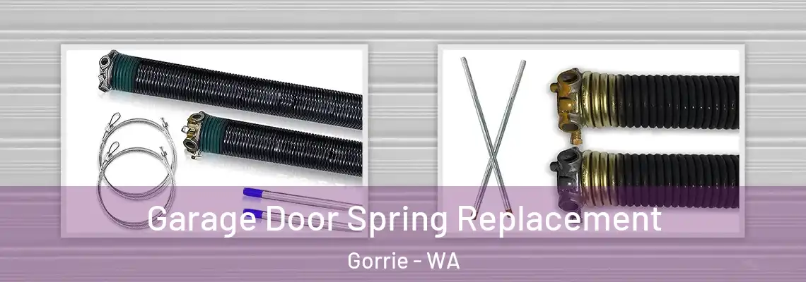 Garage Door Spring Replacement Gorrie - WA