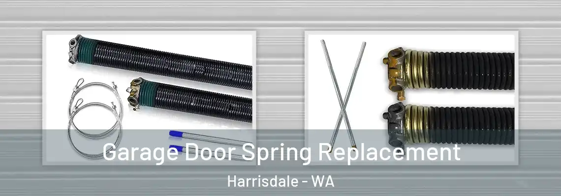  Garage Door Spring Replacement Harrisdale - WA