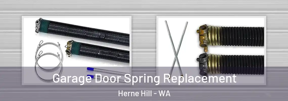  Garage Door Spring Replacement Herne Hill - WA