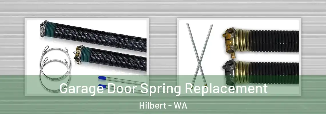  Garage Door Spring Replacement Hilbert - WA