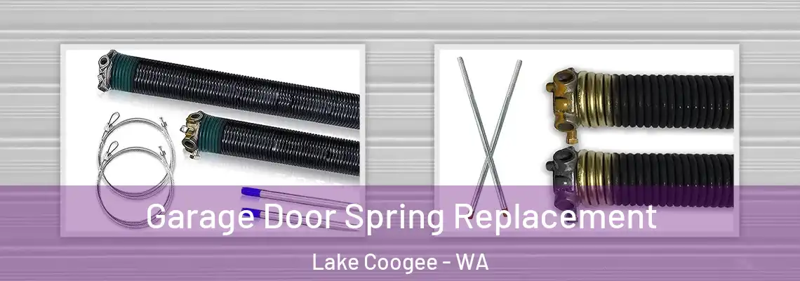 Garage Door Spring Replacement Lake Coogee - WA