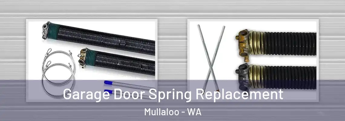  Garage Door Spring Replacement Mullaloo - WA