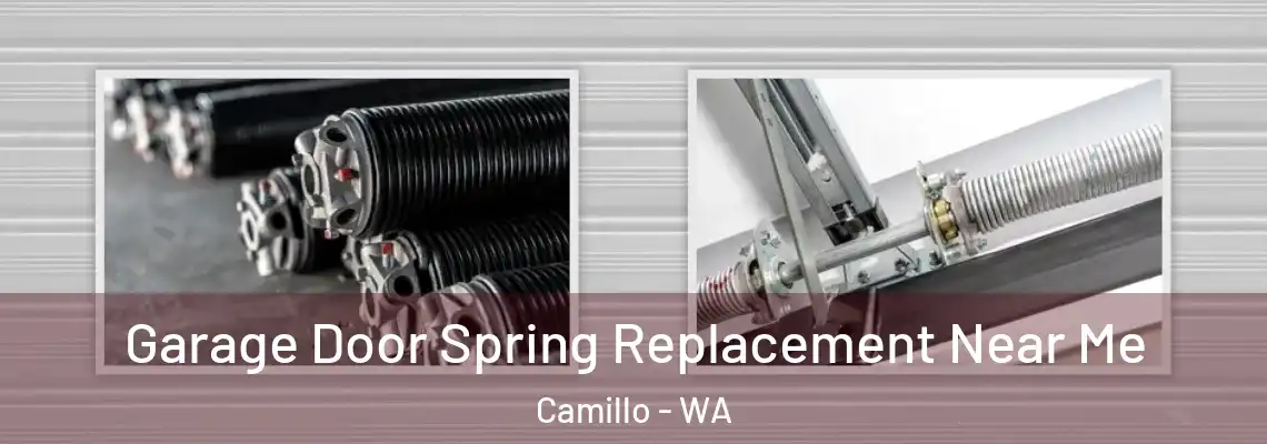  Garage Door Spring Replacement Near Me Camillo - WA