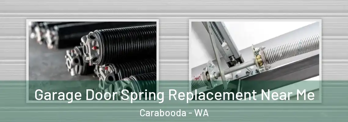  Garage Door Spring Replacement Near Me Carabooda - WA