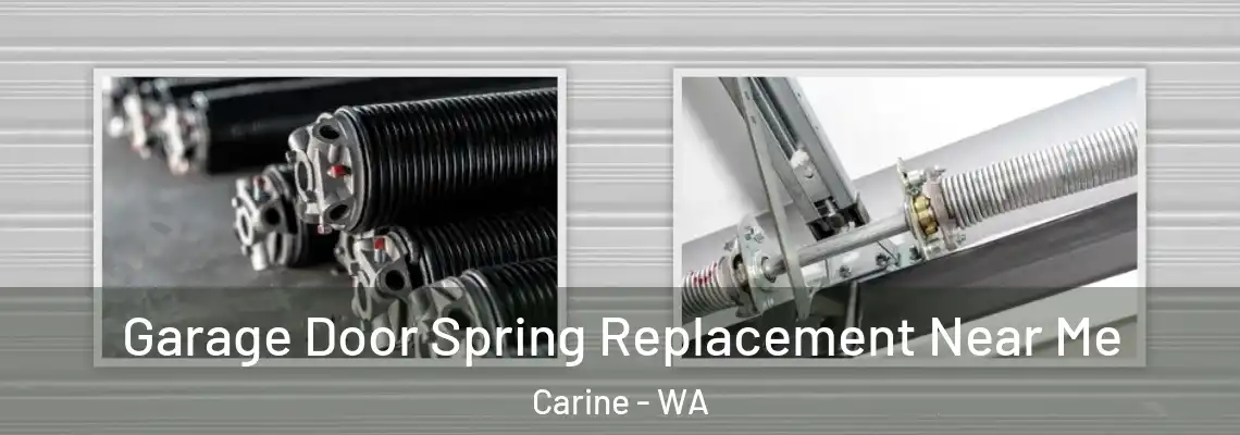  Garage Door Spring Replacement Near Me Carine - WA