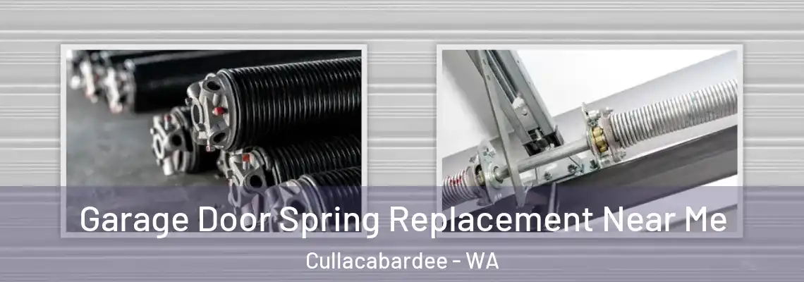  Garage Door Spring Replacement Near Me Cullacabardee - WA