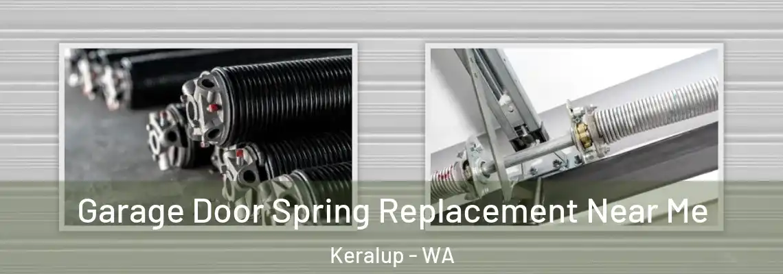 Garage Door Spring Replacement Near Me Keralup - WA