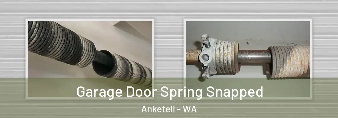  Garage Door Spring Snapped Anketell - WA