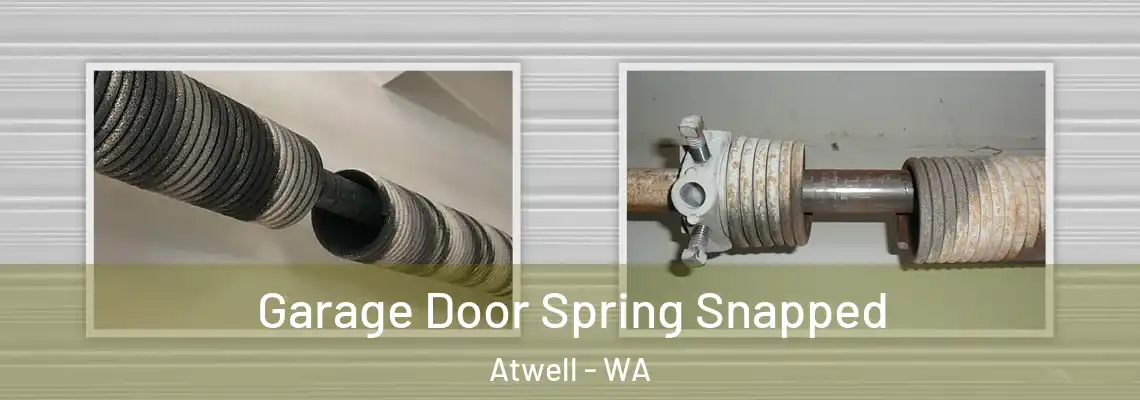 Garage Door Spring Snapped Atwell - WA