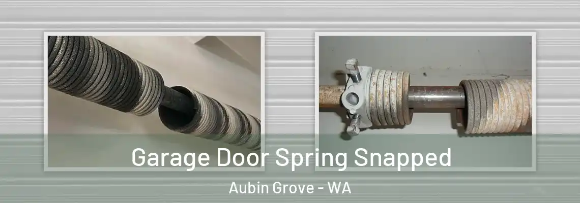  Garage Door Spring Snapped Aubin Grove - WA
