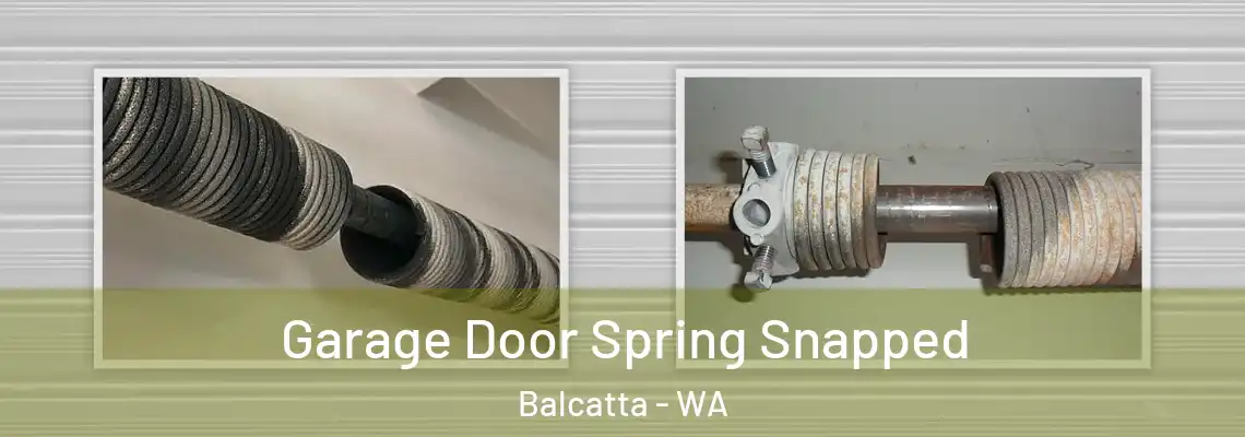  Garage Door Spring Snapped Balcatta - WA