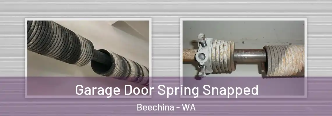  Garage Door Spring Snapped Beechina - WA