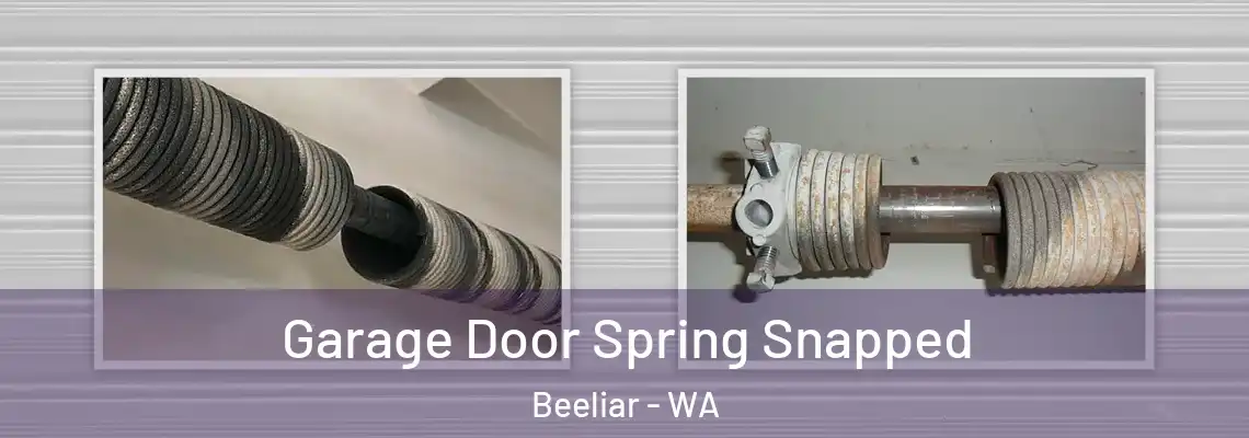  Garage Door Spring Snapped Beeliar - WA