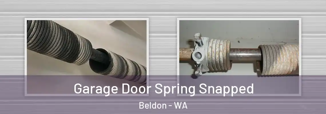  Garage Door Spring Snapped Beldon - WA
