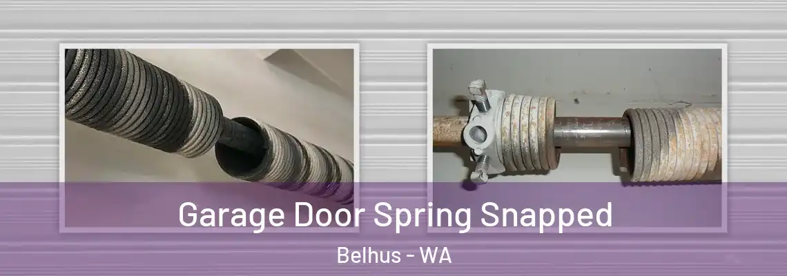  Garage Door Spring Snapped Belhus - WA