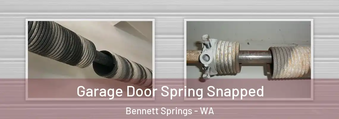  Garage Door Spring Snapped Bennett Springs - WA