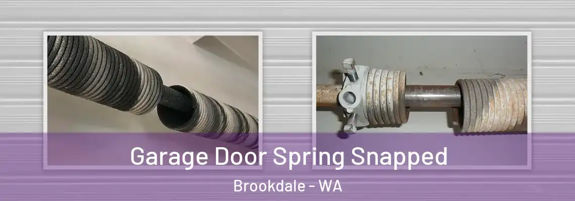  Garage Door Spring Snapped Brookdale - WA