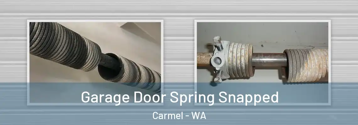  Garage Door Spring Snapped Carmel - WA